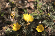 image0478