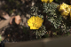image0479