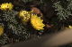 image0480