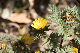 image0481