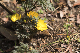image0482