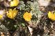 image0483