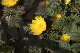 image0485