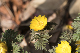 image0486
