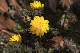 image0488