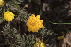 image0489