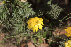 image0490