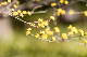 image0491