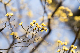 image0492