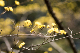 image0493