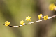 image0494