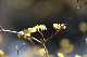 image0495