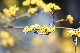 image0496