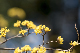 image0497