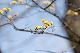 image0498