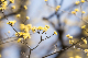 image0499