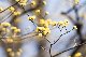 image0500