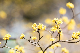 image0501