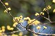 image0502