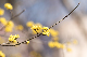 image0503