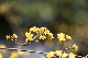 image0506