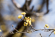 image0507