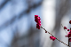 image0509