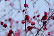 image0517