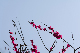 image0544