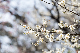 image0564