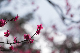 image0571