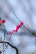 image0572