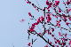 image0573