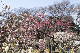 image0577