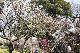 image0581