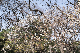 image0582