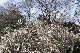 image0583