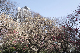 image0594