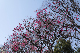 image0604