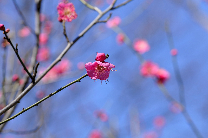 image0104