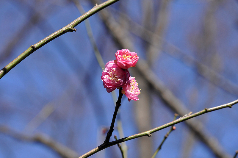 image0110