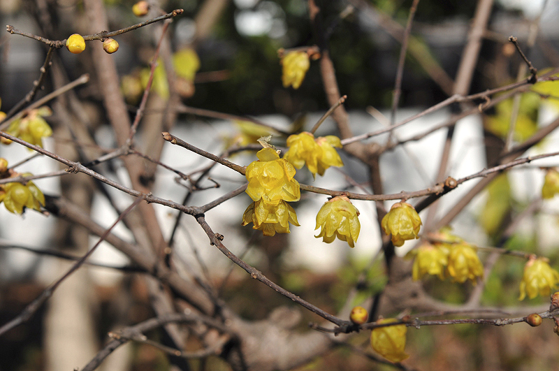 image0115