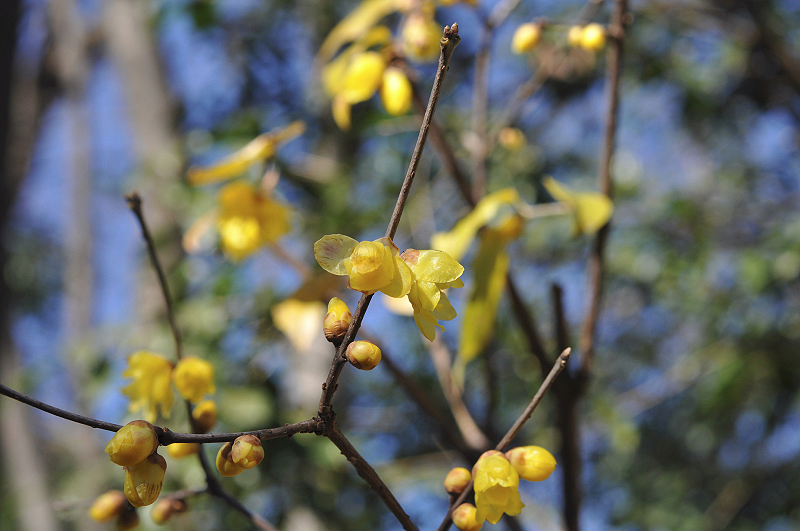 image0122