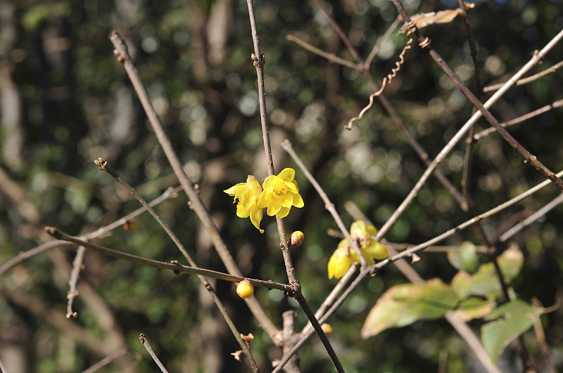 image0129