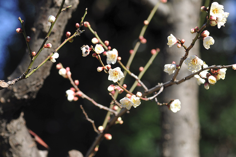 image0134