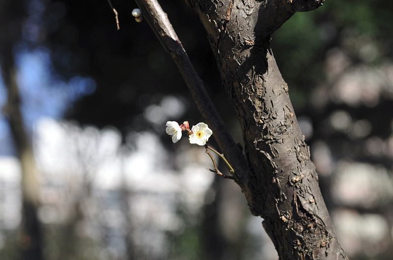 image0136