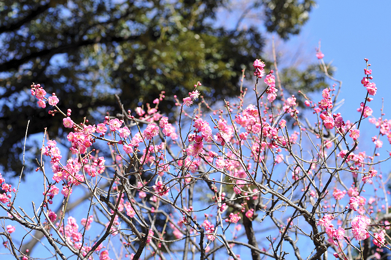 image0137