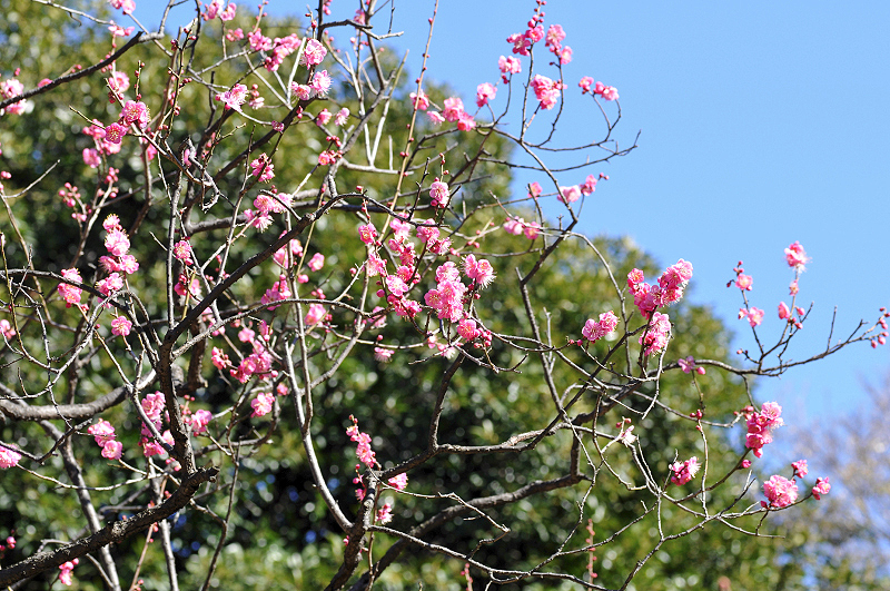 image0138