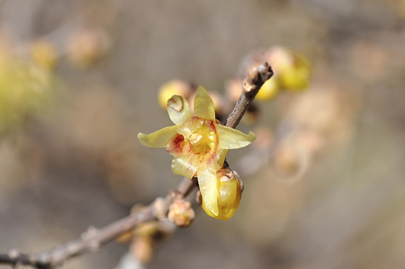 image0144
