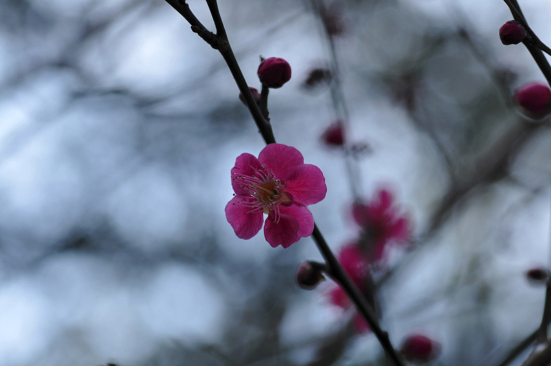 image0101